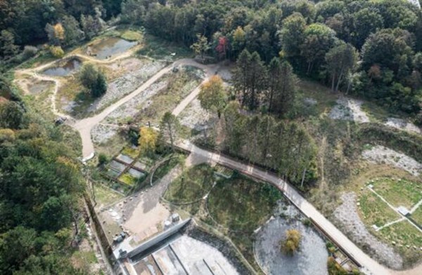 Ruinparken overrasker med stor artsrigdom